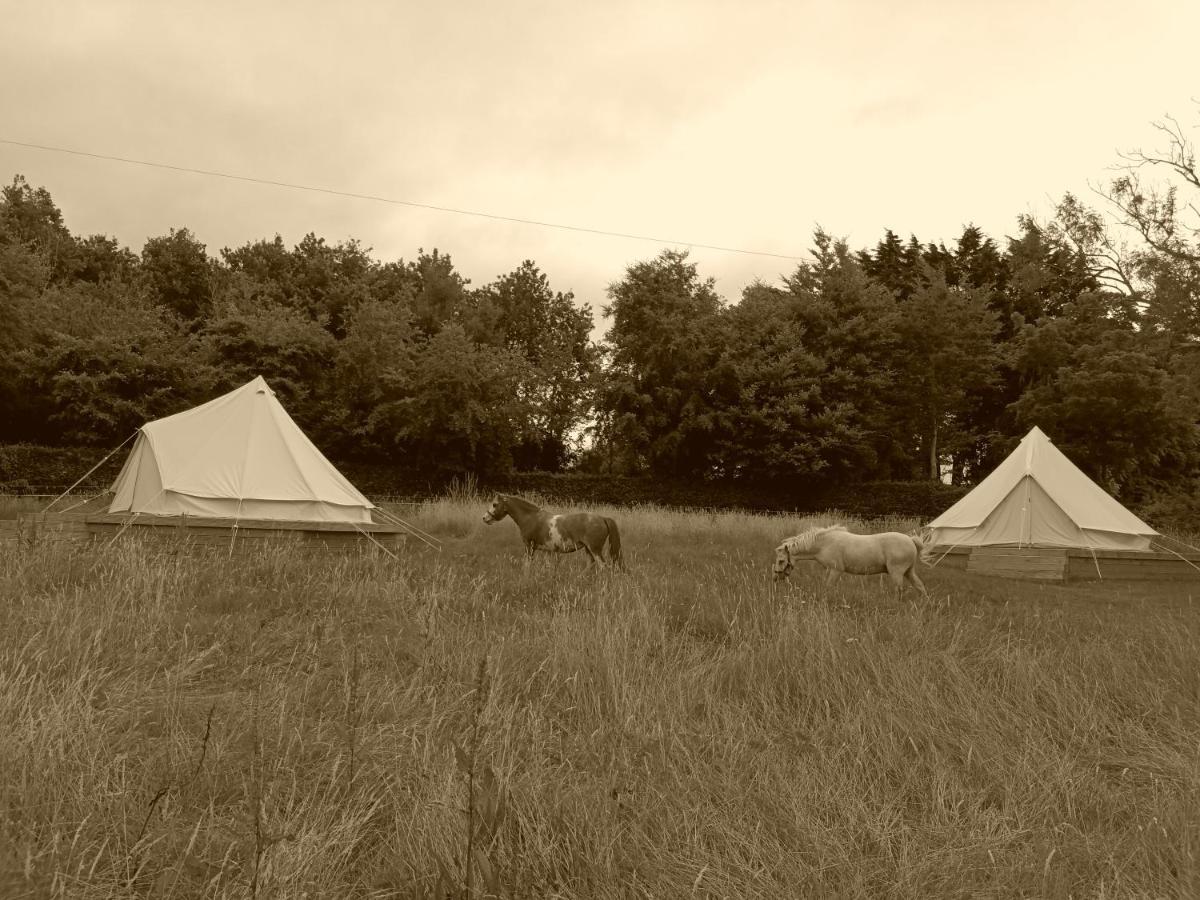 Ferry House Holidays New Ross Room photo